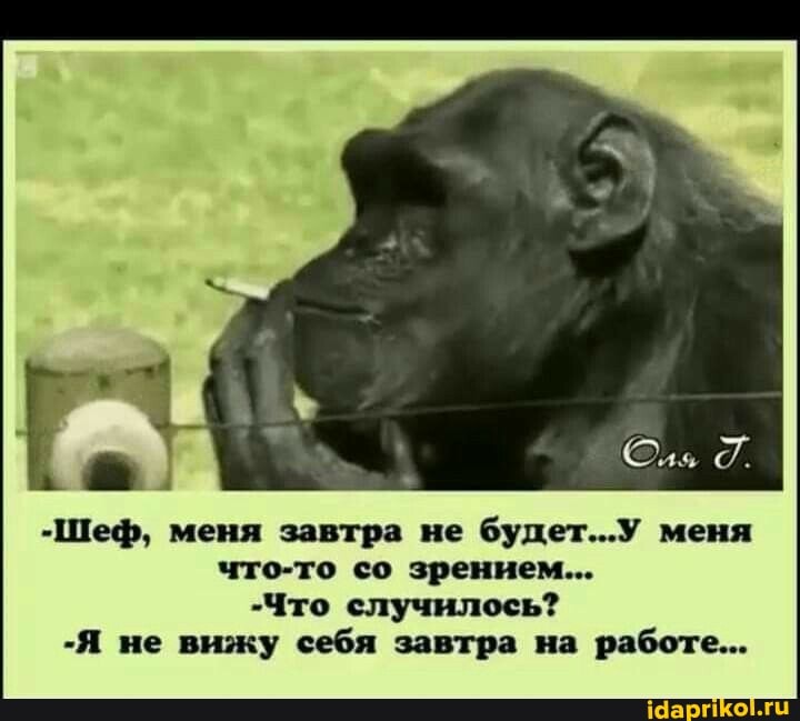 "Шеф, меня завтра не будет...У меня что-то со зрением...
"Что случилось?
-Я не вижу себя завтра на работе...