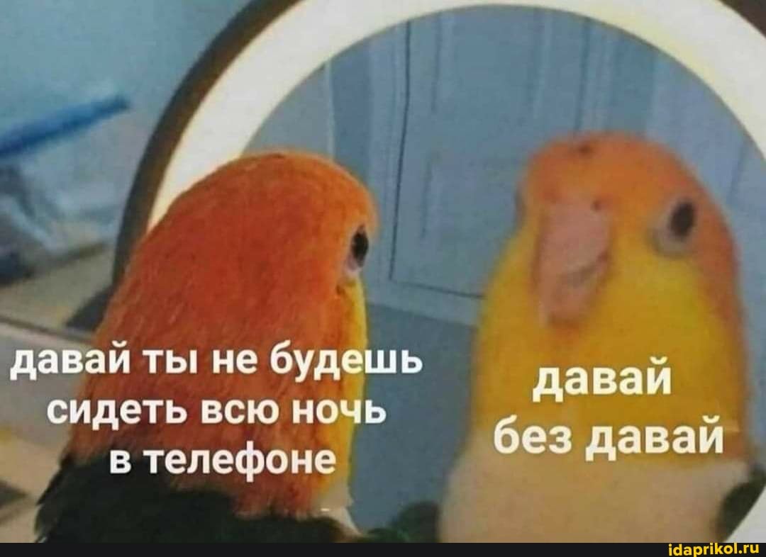 давай ты не будешь сидеть всю ночь в телефоне
давай без давай
