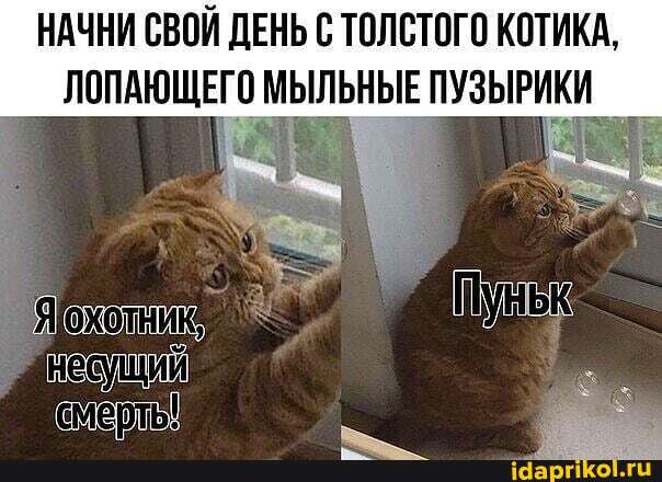 НАЧНИ СВОЙ ДЕНЬ С ТОЛСТОГО КОТИКА,
ЛОПАЮЩЕГО МЫЛЬНЫЕ ПУЗЫРИКИ