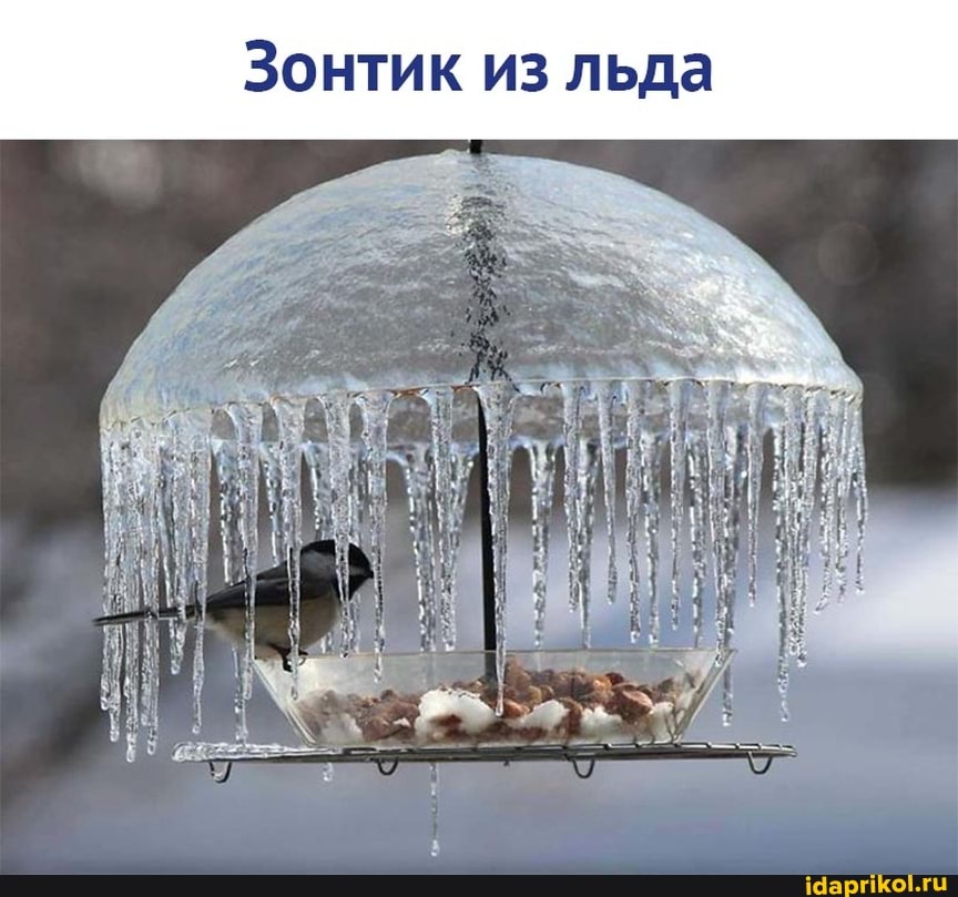 Зонтик из льда