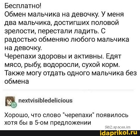 Бесплатно!
Обмен мальчика на девочку. У меня два мальчика, достигших половой зрелости, перестали ладить. С радостью обменяю любого мальчика на девочку.
Черепахи здоровы и активны. Едят мясо, рыбу, водоросли, сухой корм.
Также могу отдать одного мальчика без обмена
Хорошо, что слово "черепахи" появилось хотя бы в 5-ом предложении