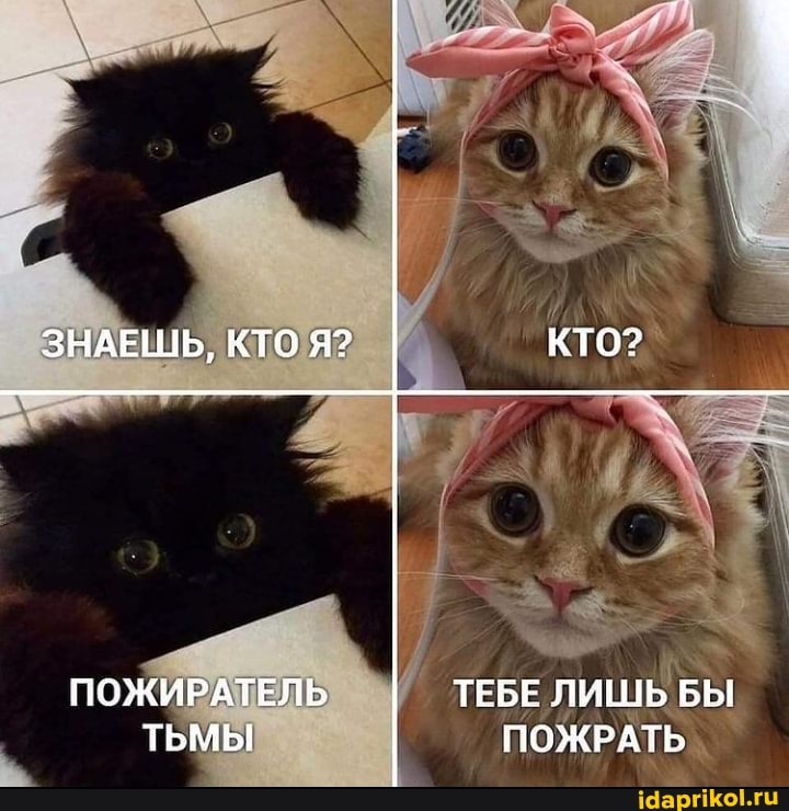 ЗНАЕШЬ, КТО Я? КТО?
ПОЖИРАТЕЛЬ ТЕБЕ ЛИШЬ БЫ ТЬМЫ ПОЖРАТЬ