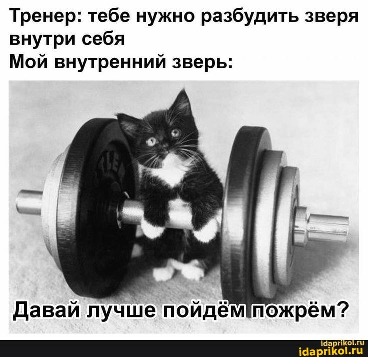 Тренер: тебе нужно разбудить зверя
внутри себя
Мой внутренний зверь:
Давай у