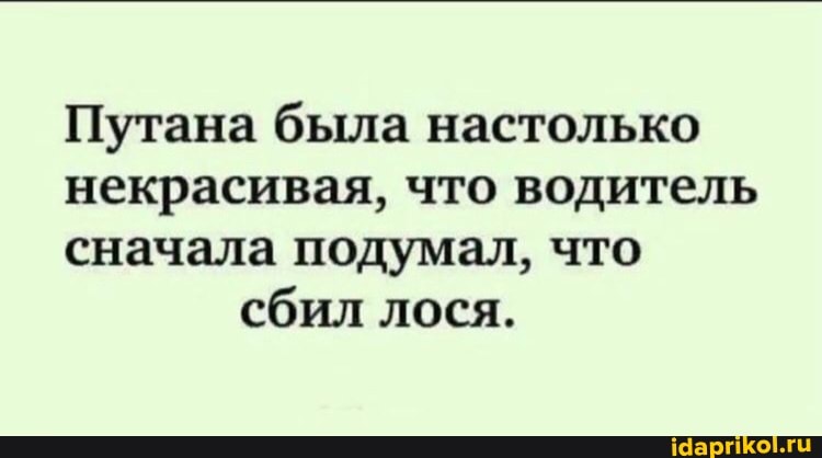 Путана была настолько
некрасивая, что водитель
сначала подумал, что сбил лося.