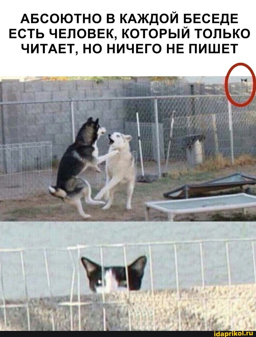 АБСОЮТНО В КАЖДОЙ БЕСЕДЕ ЕСТЬ ЧЕЛОВЕК, КОТОРЫЙ ТОЛЬКО ЧИТАЕТ, НО НИЧЕГО НЕ ПИШЕТ
