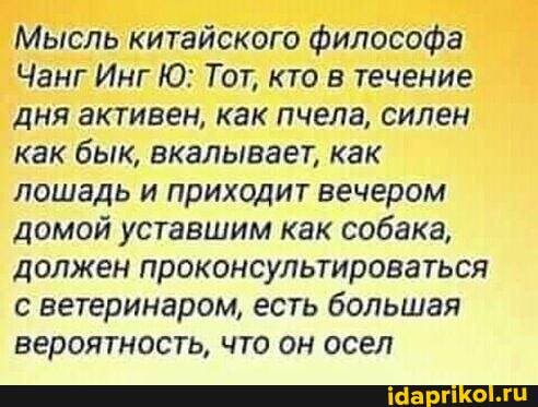 Мысль китайского философа
Чанг ИнгЮ: Тот, кто в течение дня активен, как пчела, силен как бык, вкалывает, как лошадь и приходит вечером домой уставшим как собака, должен проконсультироваться с ветеринаром, есть большая вероятность, что он осел