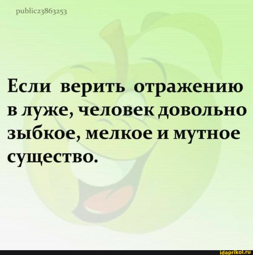 с23863253
Если верить отражению в луже, человек довольно зыбкое, мелкое и мутное
существо.