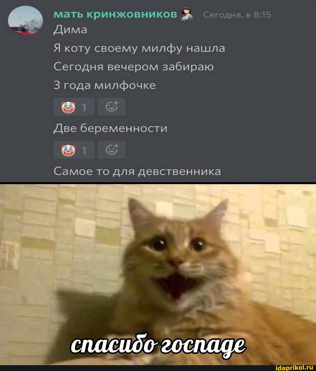 мать кринжовников Сегодня, в
Дима
Я коту своему милфу нашла
Сегодня вечером забираю года милфочке
Две беременности
Самое то для девственника