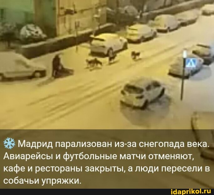 Мадрид парализован из-за снегопада века.
Авиарейсы и футбольные матчи отменяют, кафе и рестораны закрыты, а люди пересели собачьи упряжки.
