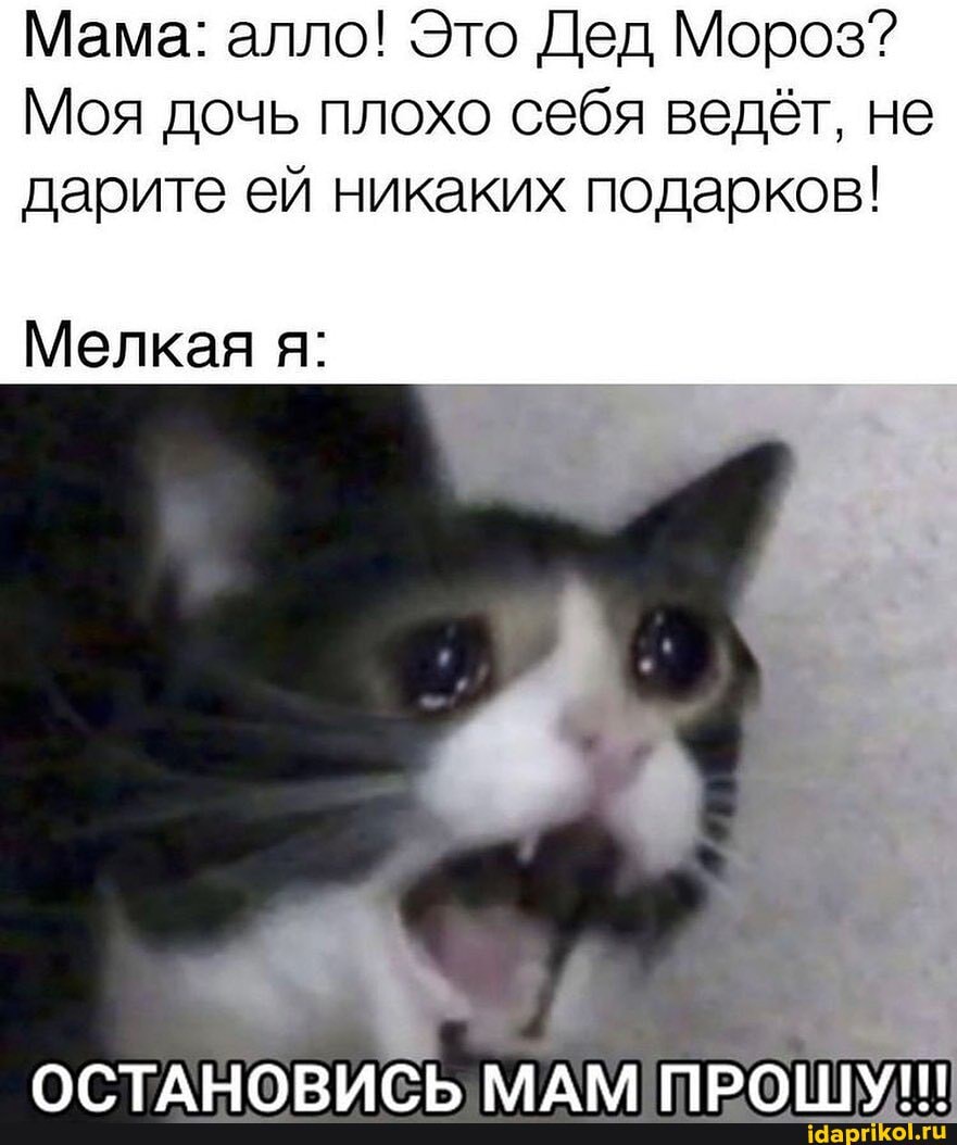 Мама: алло! Это Дед Мороз?
Моя дочь плохо себя ведёт, не дарите ей никаких подарков!
Мелкая я: