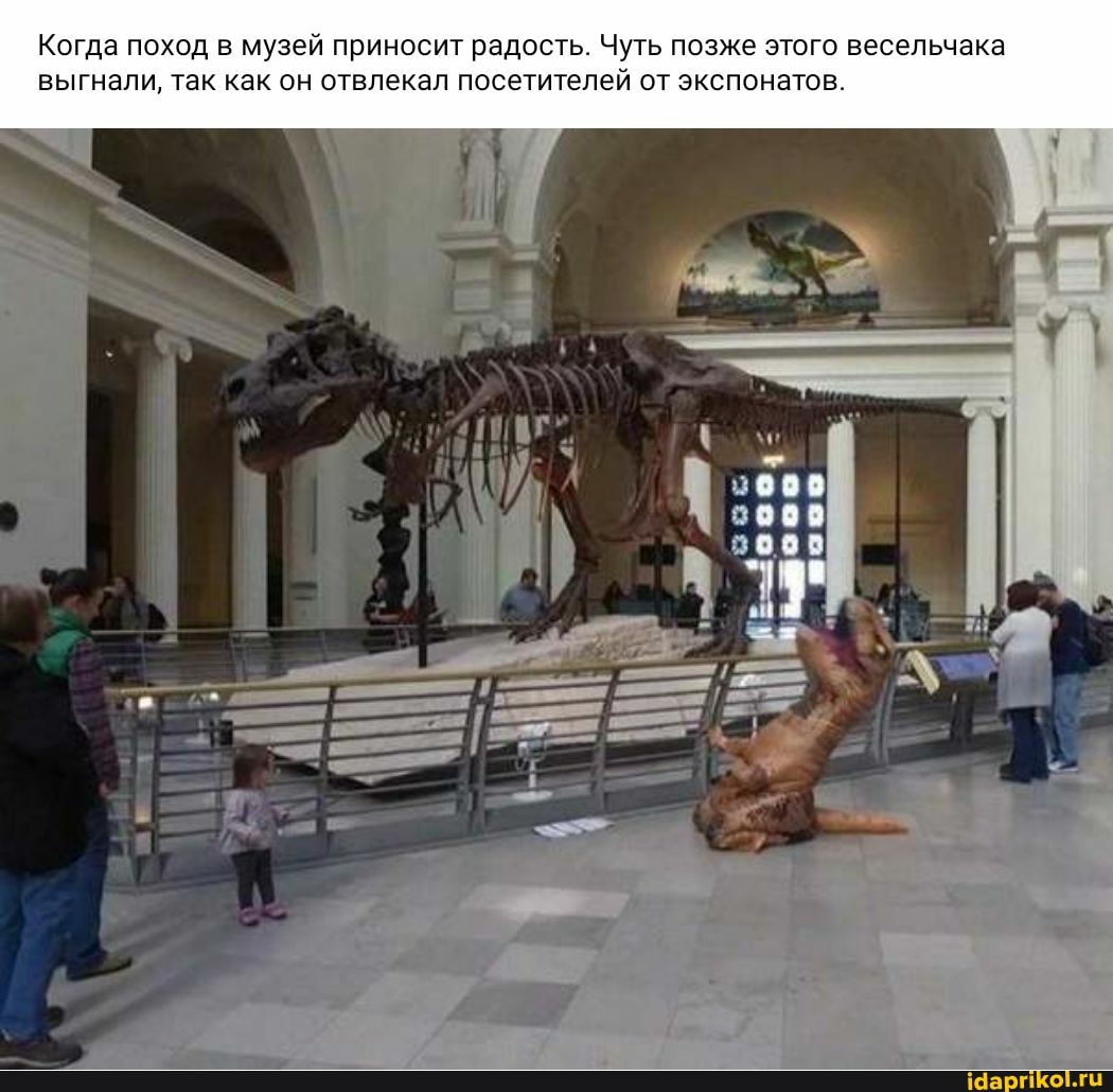 Когда поход в музей приносит радость. Чуть позже этого весельчака выгнали, так как он отвлекал посетителей от экспонатов.