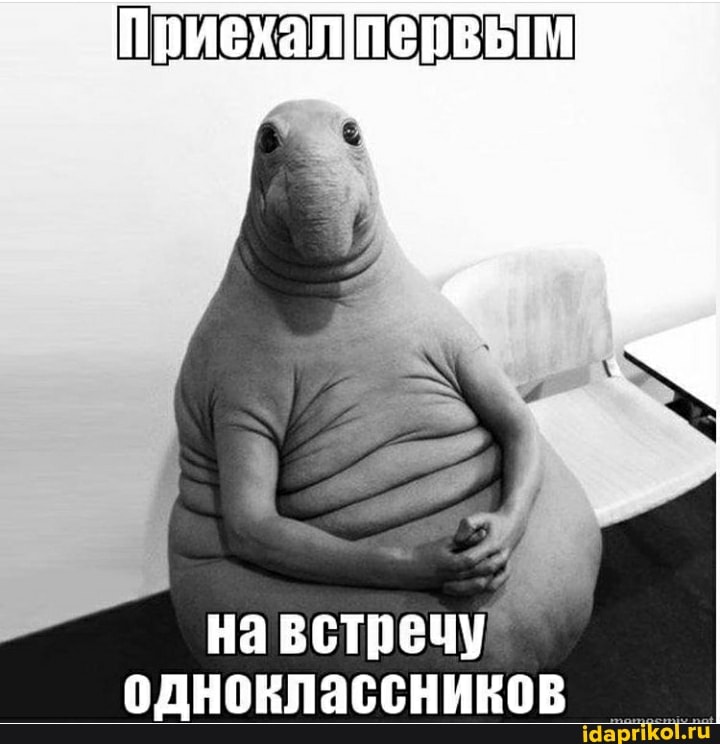 навстречу одноклассников