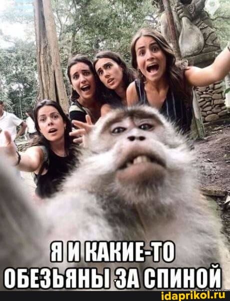 г. у.
ЯИ НАНИЕ-ТО
ОБЕЗЬЯНЫ ЗА СПИНОЙ