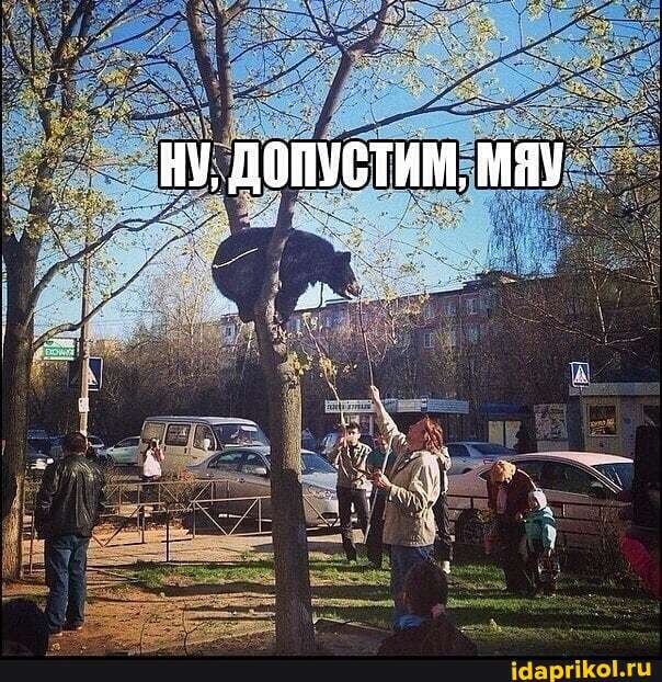 _ ну, допустим,