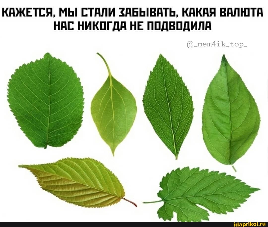 КАЖЕТСЯ, МЫ СТАЛИ ЗАБЫВАТЬ, КАКАЯ ВАЛЮТА
НАС НИКОГДА НЕ ПОДВОДИЛА
