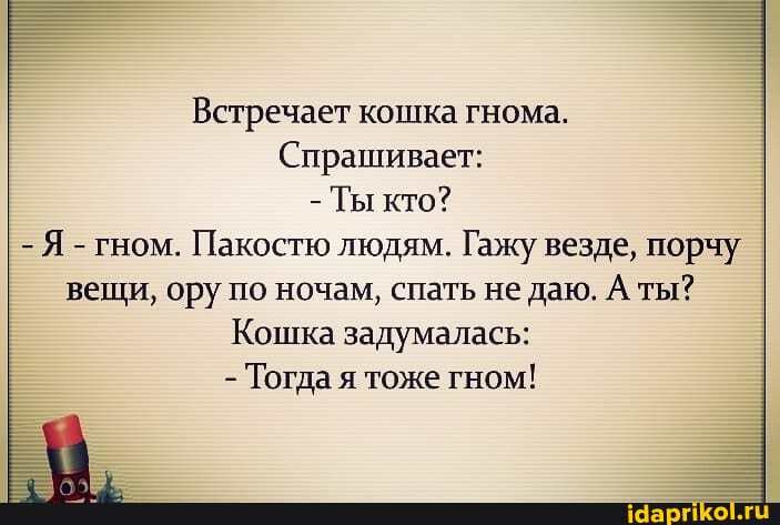 Встречает кошка гнома.
Спрашивает:
- Ты кто?
- Я - гном. Пакостю людям. Гажу везде, порчу вещи, ору по ночам, спать не даю. А ты?
Кошка задумалась:
- Тогда я тоже гном!