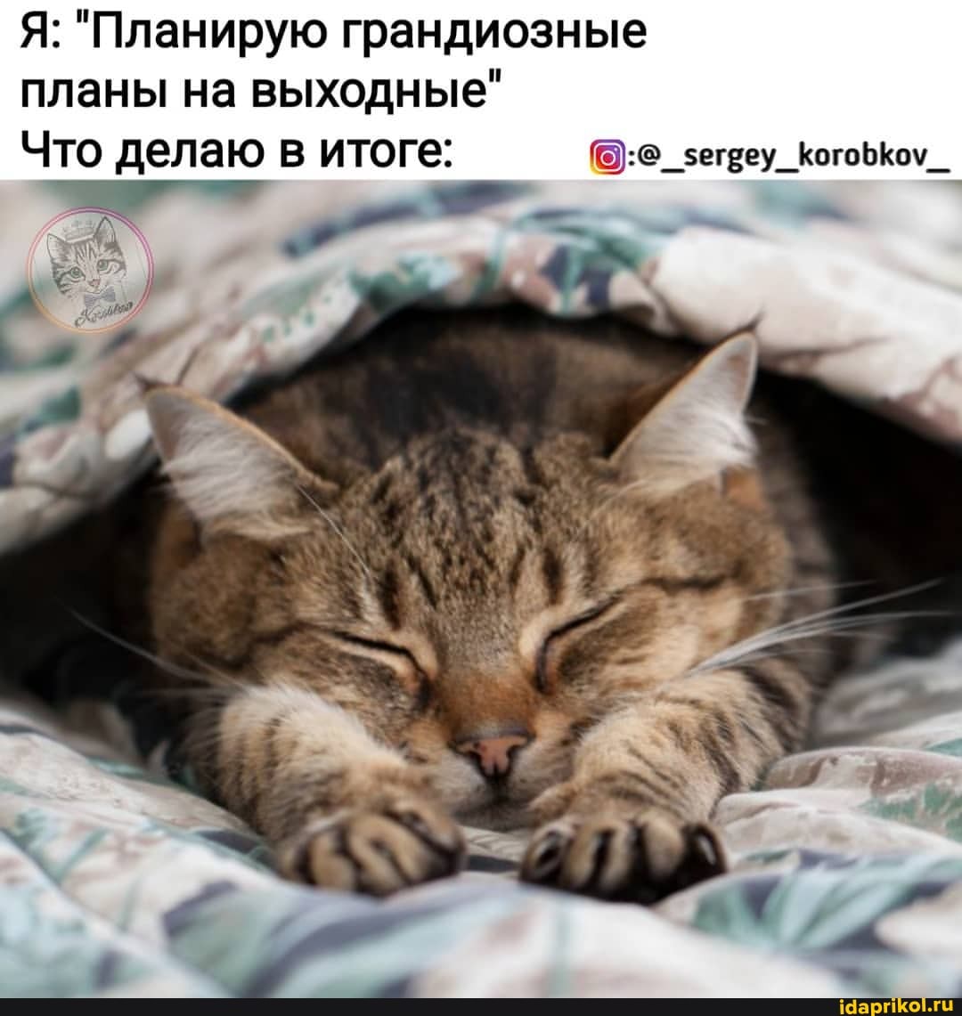 Я: "Планирую грандиозные планы на выходные"
Что делаю в итоге: