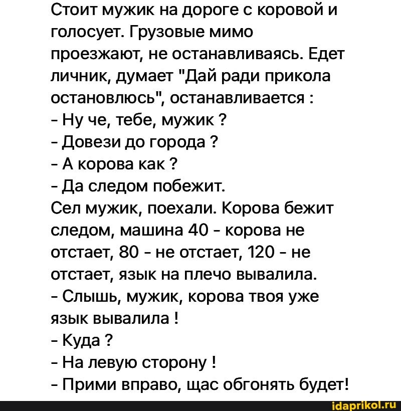 Стоит мужик на дороге с коровой и голосует. Грузовые мимо проезжают, не останавливаясь. Едет личник, думает "Дай ради прикола остановлюсь", останавливается :
- Ну че, тебе, мужик ?
- Довези до города ?
- А корова как ?
- Да следом побежит.
Сел мужик, поехали. Корова бежит следом, машина 40 - корова не отстает, 80 - не отстает, 120 - не отстает, язык на плечо вывалила.
- Слышь, мужик, корова твоя уже язык вывалила !
- Куда?
- На левую сторону !
- Прими вправо, щас обгонять будет!