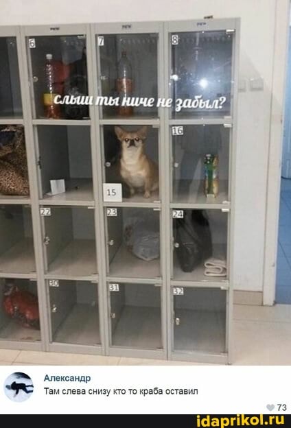 Александр
Там слева снизу кто то краба оставил