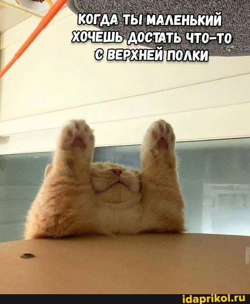 КОГДА ТЫ МАЛЕНЬКИЙ ХОЧЕШЬ, ДОСТАТЬ, ЧТО-ТО,