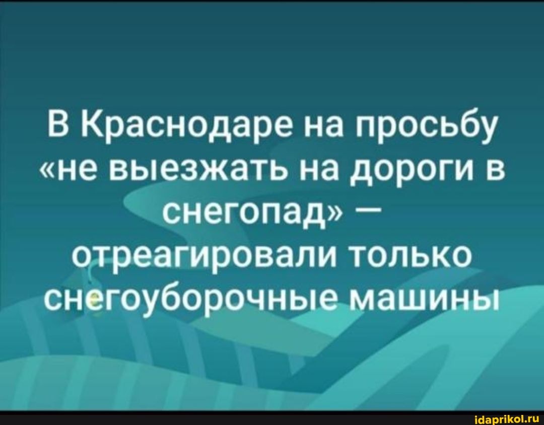 В Краснодаре на просьбу
"не выезжать на дороги в снегопад" - отреагировали только снегоуборочные машины