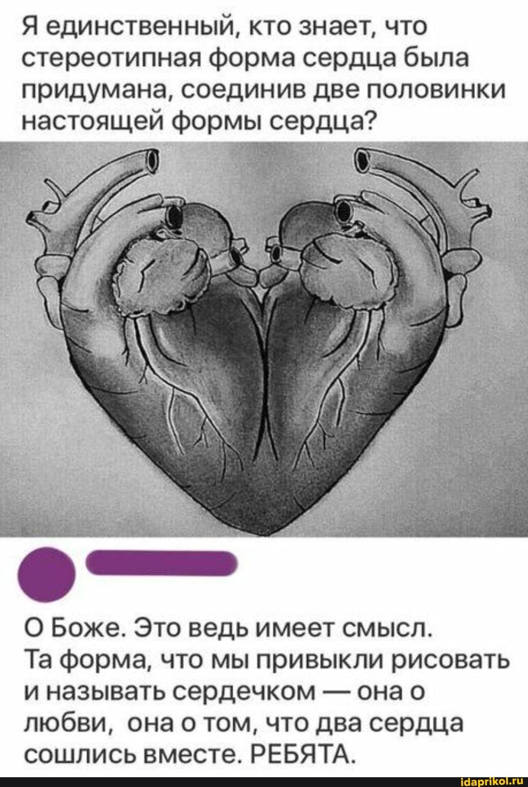 Я единственный, кто знает, что стереотипная форма сердца была придумана, соединив две половинки настоящей формы сердца?
О Боже. Это ведь имеет смысл.
Та форма, что мы привыкли рисовать и называть сердечком - она любви, она о том, что два сердца сошлись вместе. РЕБЯТА.