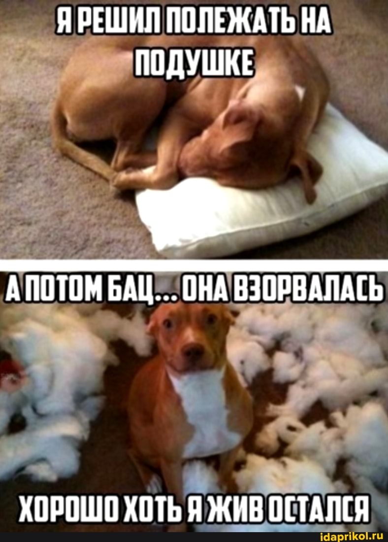 ЯРЕШИЛ ПОЛЕЖАТЬ НА ПОДУШКЕ
АПОТОМБАЦ... ОНА ВЗОРВАЛАСЬ
ХОРОШО ХОТЬ Я ЖИВ ОСТАЛСЯ