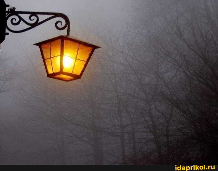 Лолллл :)