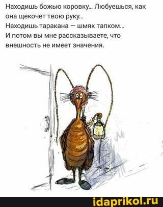 Находишь божью коровку.. Любуешься, как она щекочет твою руку.
Находишь таракана - шмяк тапком...
И потом вы мне рассказываете, что внешность не имеет значения.