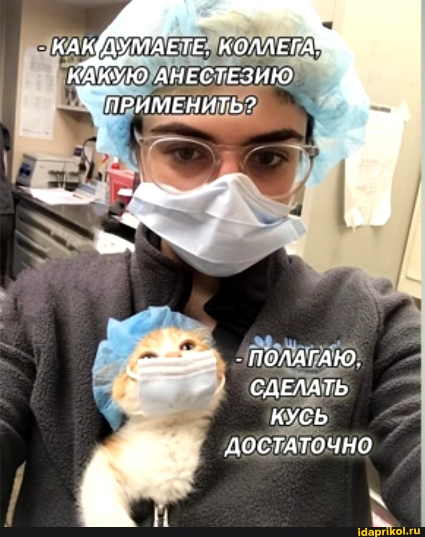 КОЛЛЕГАМ АКУЮ АНЕСТЕЗИЮ применить ?
- ПОЛАГАЮ.
- СДЕЛАТЬ КУСЬ ДОСТАТОЧНО