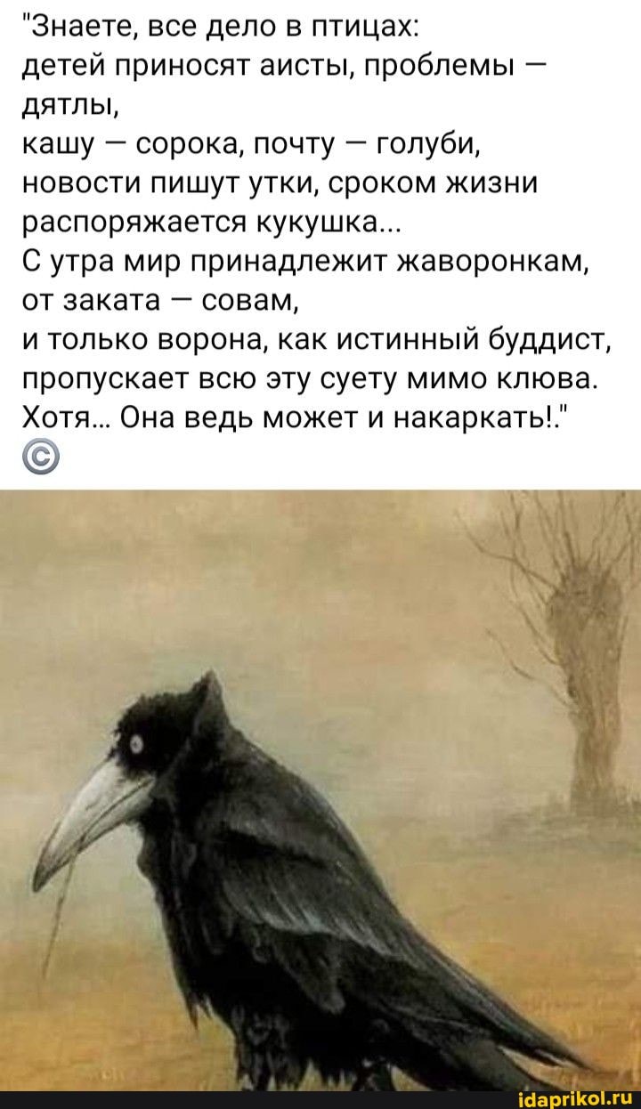 "Знаете, все дело в птицах:
детей приносят аисты, проблемы - дятлы,
кашу - сорока, почту - голуби, новости пишут утки, сроком жизни распоряжается кукушка...
С утра мир принадлежит жаворонкам, от заката - совам,
и только ворона, как истинный буддист, пропускает всю эту суету мимо клюва.
Хотя... Она ведь может и накаркать!."