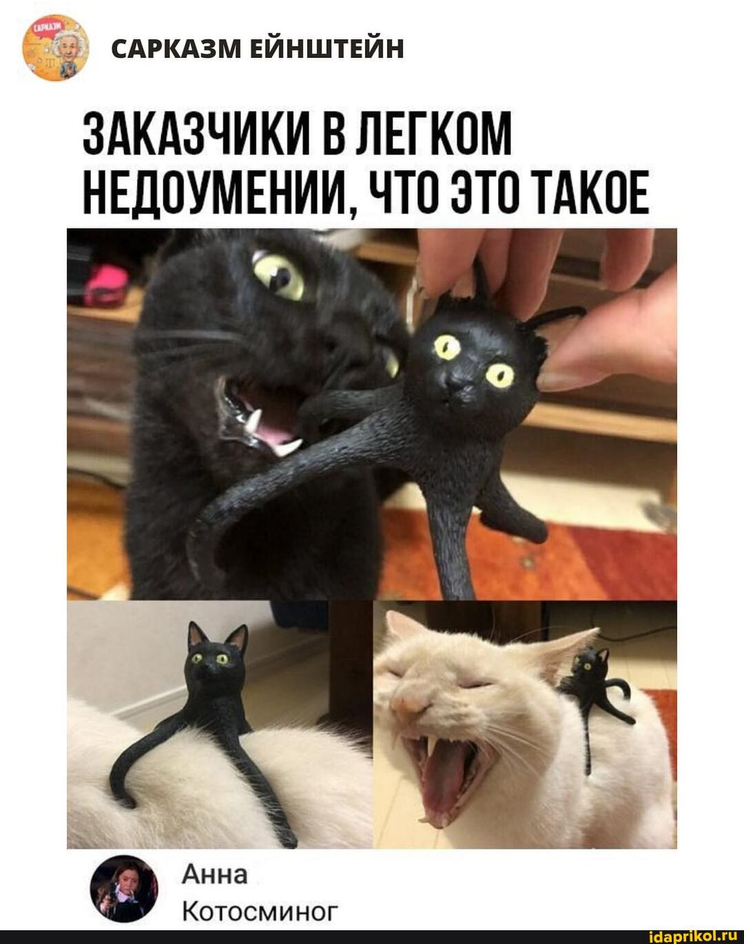 САРКАЗМ ЕЙНШТЕЙН
ЗАКАЗЧИКИ В ЛЕГКОМ НЕДОУМЕНИИ, ЧТО ЭТО ТАКОЕ