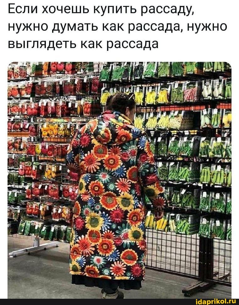 Если хочешь купить рассаду, нужно думать как рассада, нужно выглядеть как рассада