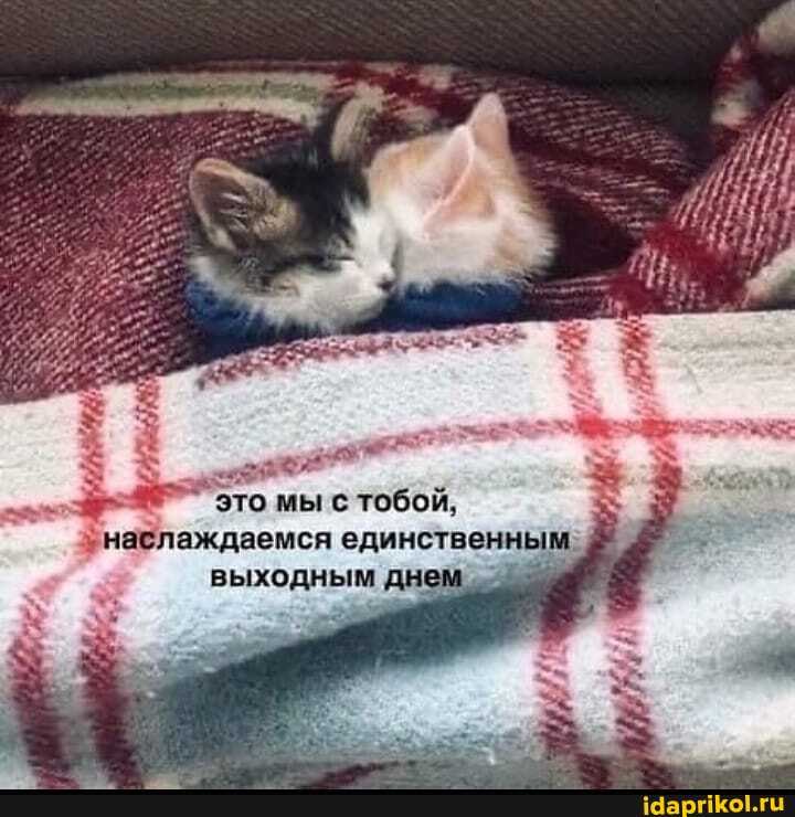 то мы с тобой, знаслаждаемся единственным- выходным дне