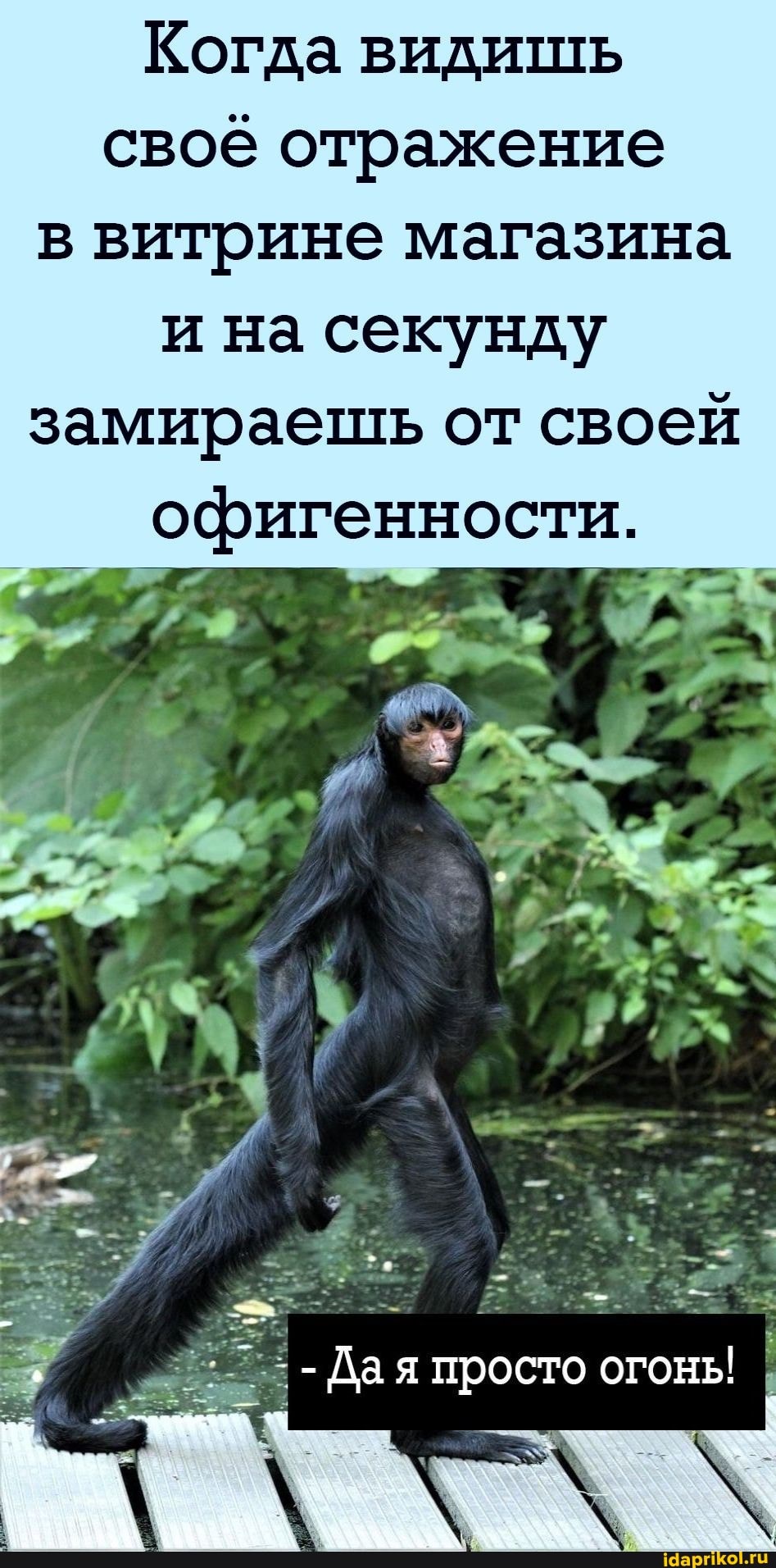 Когда видишь своё отражение в витрине магазина и на секунду замираещь от своей
офигенности.
-Дая просто огонь!