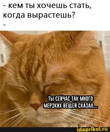 - кем ты хочешь стать, когда вырастешь?
ТЫ СЕЙЧАС ТАК МНОГО МЕРЗКИХ ВЕЩЕЙ СКАЗАЛ