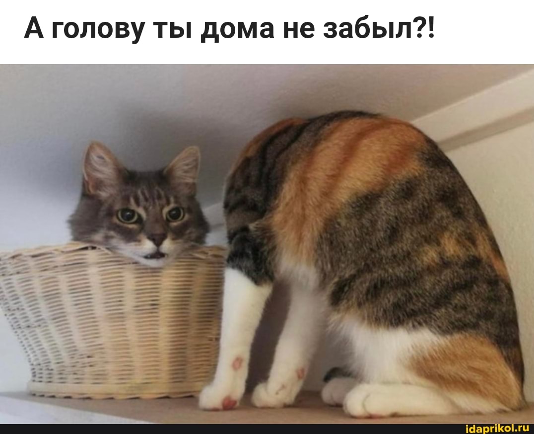 А голову ты дома не забыл?!