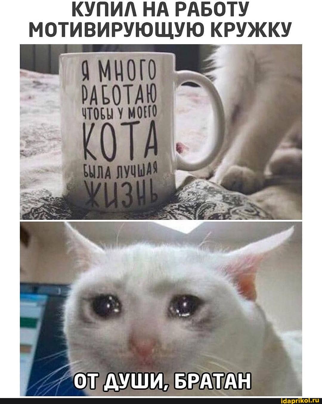 КУПИЛ НА РАБОТУ МОТИВИРУЮЩУЮ КРУЖКУ
ОТ ДУШИ, БРАТАН