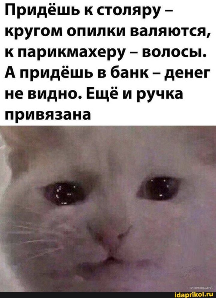 Придёшь к столяру - кругом опилки валяются, к парикмахеру - волосы.
А придёшь в банк - денег не видно. Ещё и ручка привязана