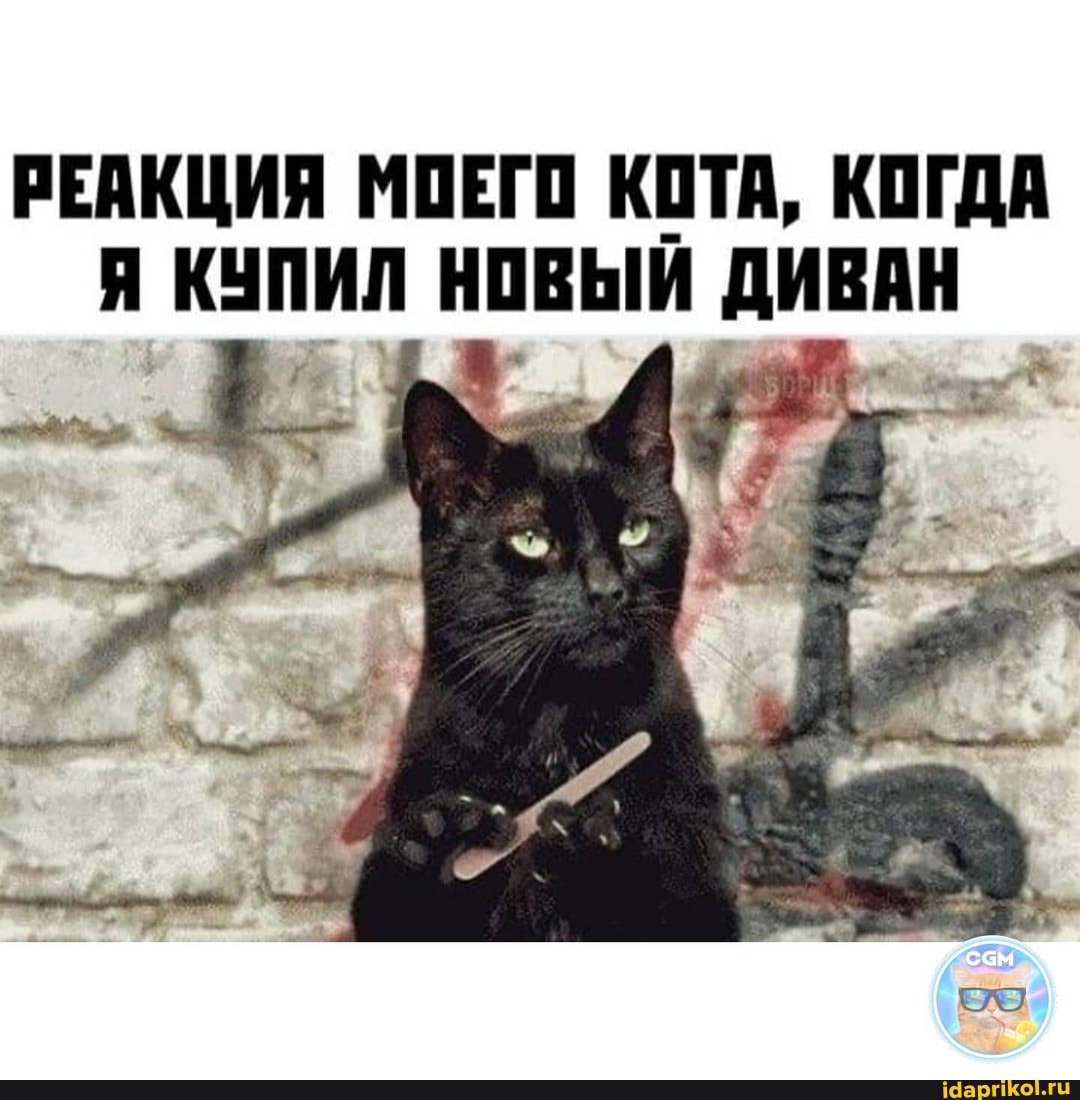 РЕАКЦИЯ МОЕГО КОТА, КОГДА Я КУПИЛ НОВЫЙ ДИВАН