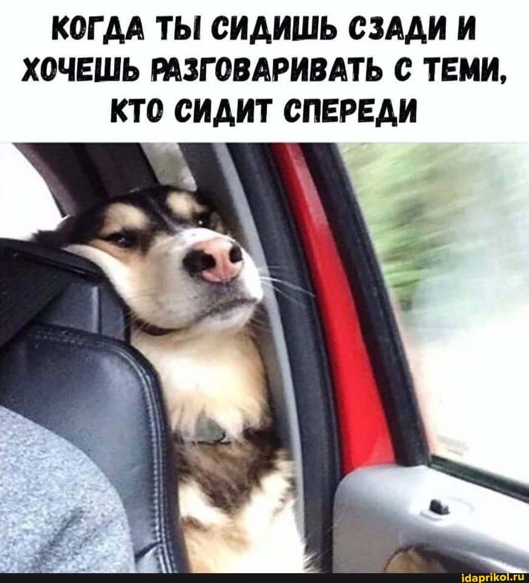 КОГДА ТЫ СИДИШЬ СЗАДИ И
ХОЧЕШЬ РАЗГОВАРИВАТЬ С ТЕМИ,
КТО СИДИТ СПЕРЕДИ