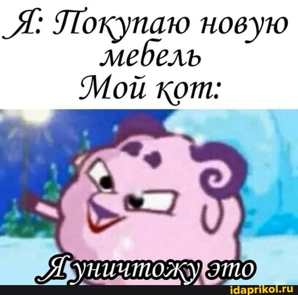 _Я; Покупаю новую мебель
Мой кот:
_Я уннитожу это