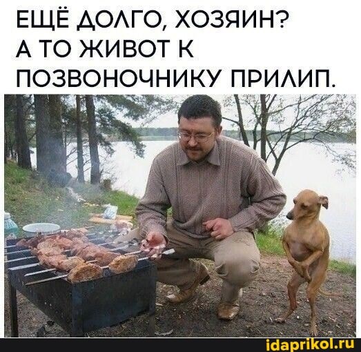 ЕЩЁ ДОЛГО, ХОЗЯИН?
А ТО ЖИВОТ К ПОЗВОНОЧНИКУ ПРИЛИП