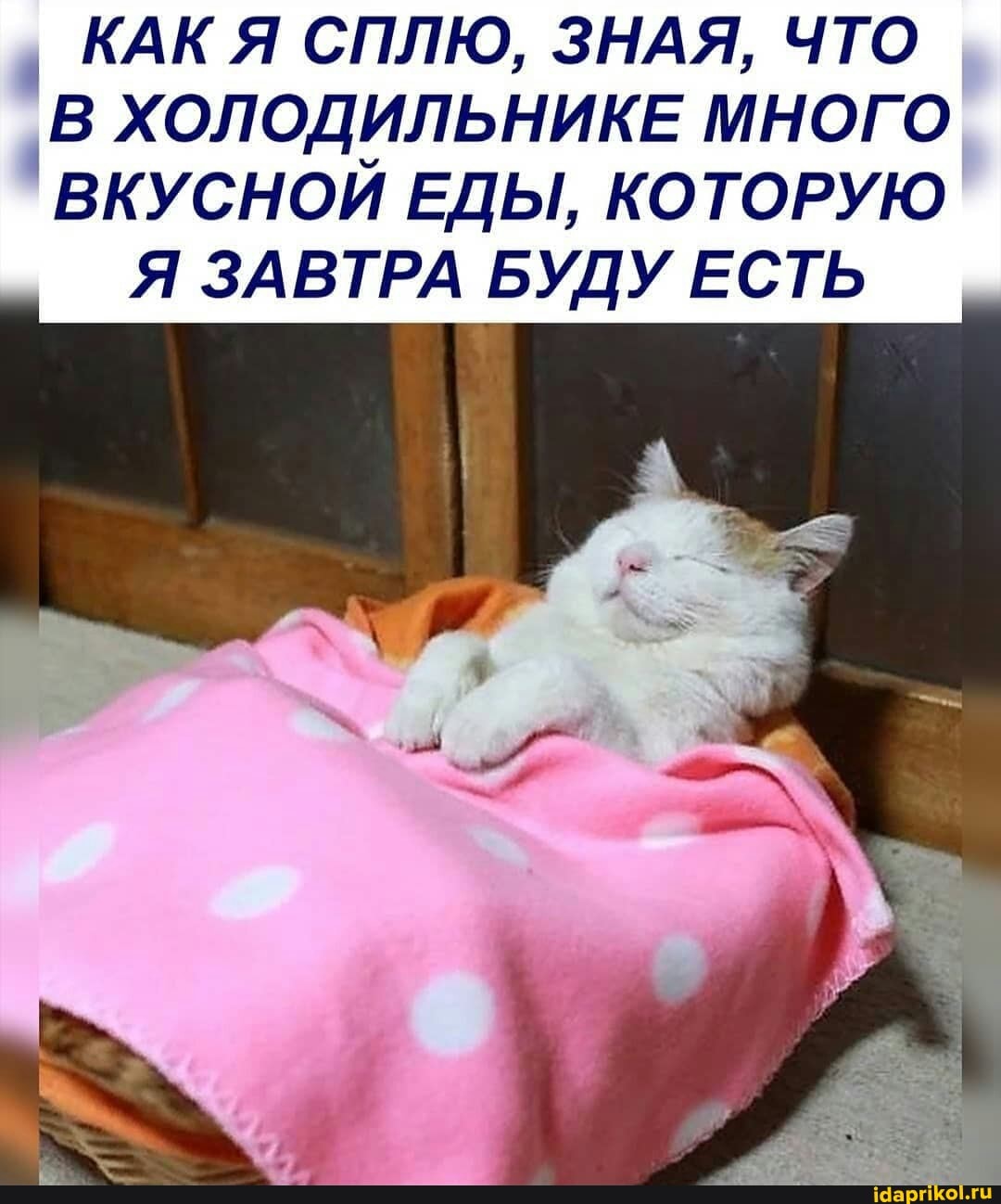 КАК Я СПЛЮ, ЗНАЯ, ЧТО I: ХОЛОДИЛЬНИКЕ МНОГО
`ВКУСНОЙ ЕДЫ, КОТОРУЮ Я ЗАВТРА БУДУ ЕСТЬ