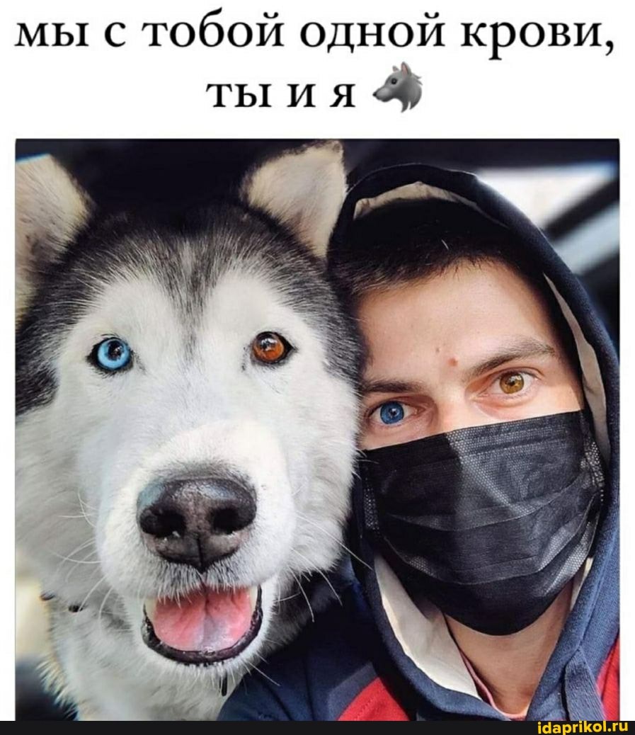 мы с тобой одной крови, тыия