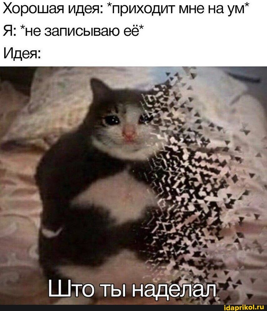 Хорошая идея: *приходит мне на ум*
Я: *не записываю её*
Идея: