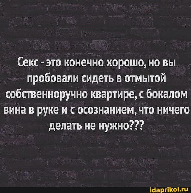 (Секс - это конечно хорошо, но вы пробовали сидеть в отмытой собственноручно квартире, с бокалом вина в руке и с осознанием, что ничего делать не нужно???