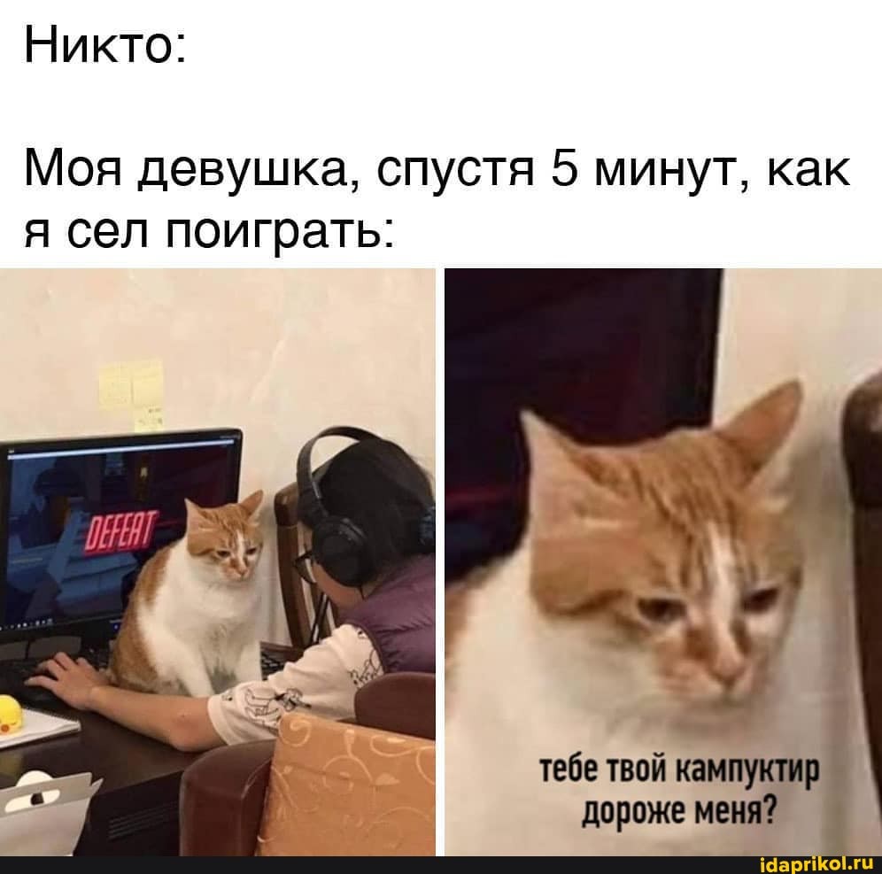 Никто:
Моя девушка, спустя 5 минут, как я сел поиграть:
тебе твой кампуктир дороже меня?