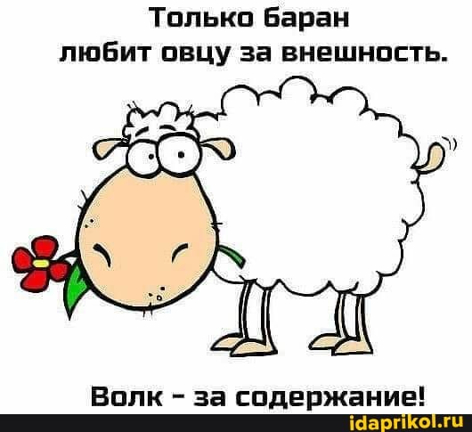 Только баран любит овцу за внешность.
Волк - за содержание!
