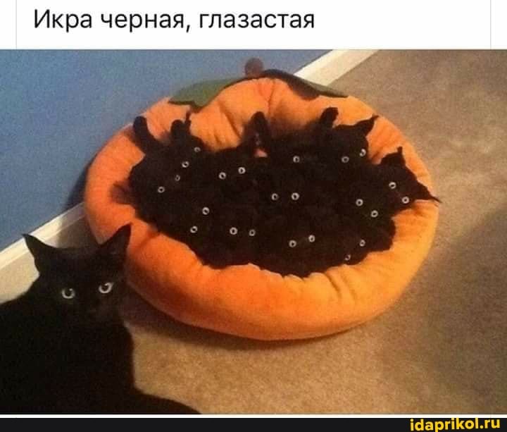 Икра черная, глазастая